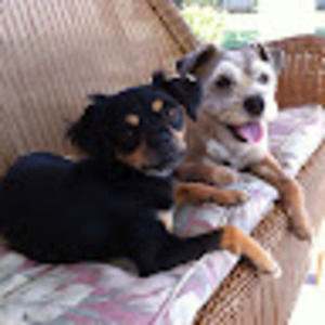 Meet your Posher, Edwina